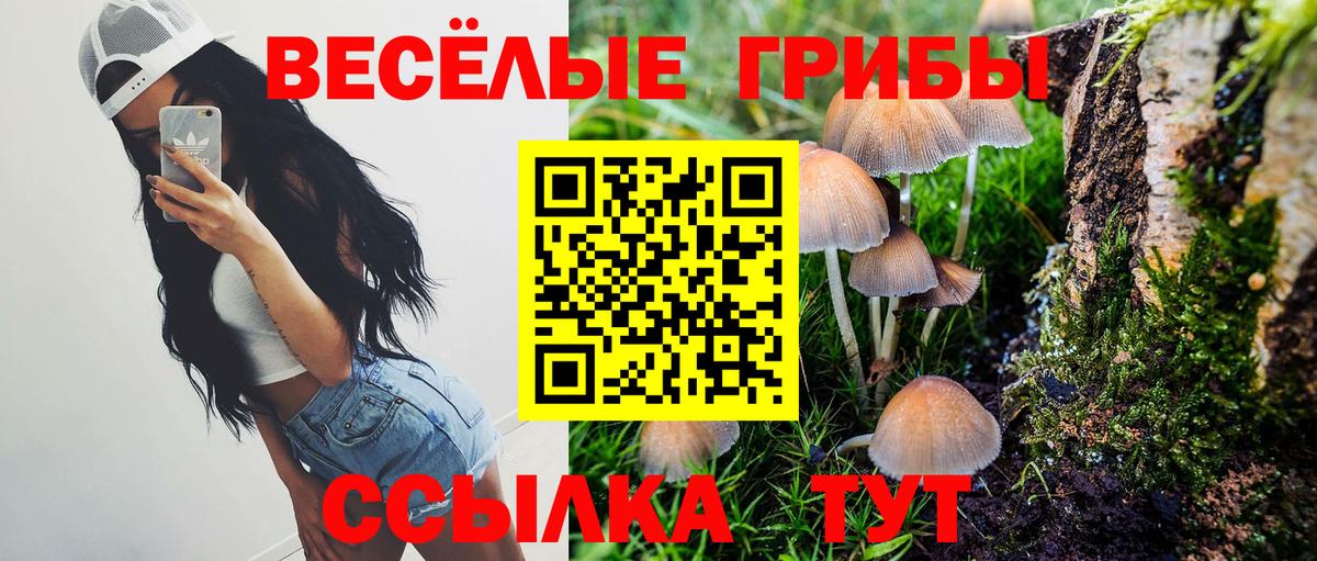 Псилоцибиновые грибы Cubensis  Вход с VPN  Касимов 